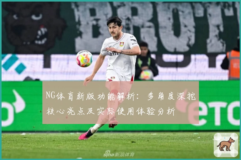 NG体育新版功能解析：多角度深挖核心亮点及实际使用体验分析