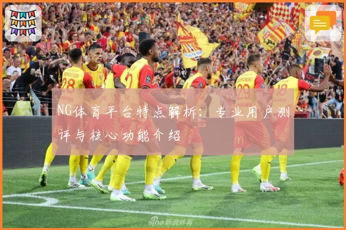NG体育平台特点解析：专业用户测评与核心功能介绍